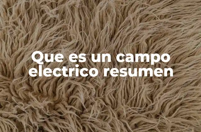 Que es un Campo Electrico Resumen