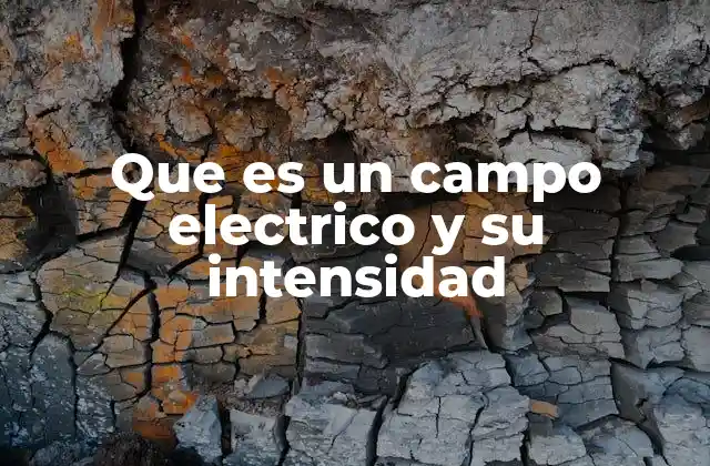 Que es un Campo Electrico y Su Intensidad 2 Cómo se representa y visualiza el campo eléctrico