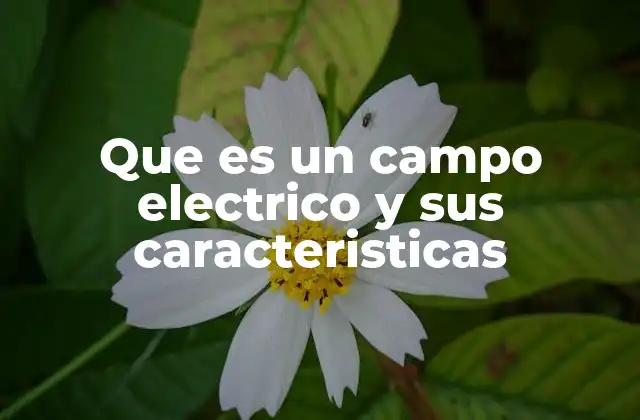 Que es un Campo Electrico y Sus Caracteristicas