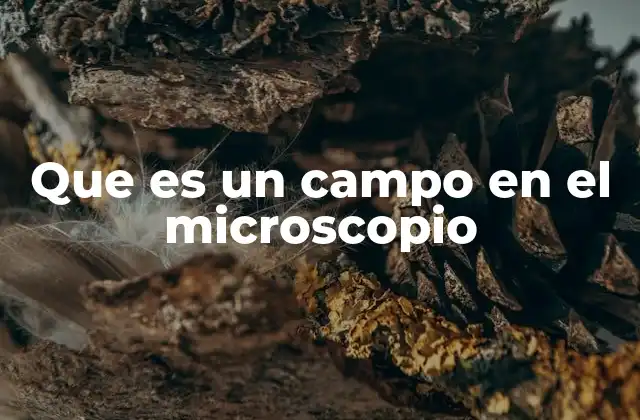 Que es un Campo en el Microscopio