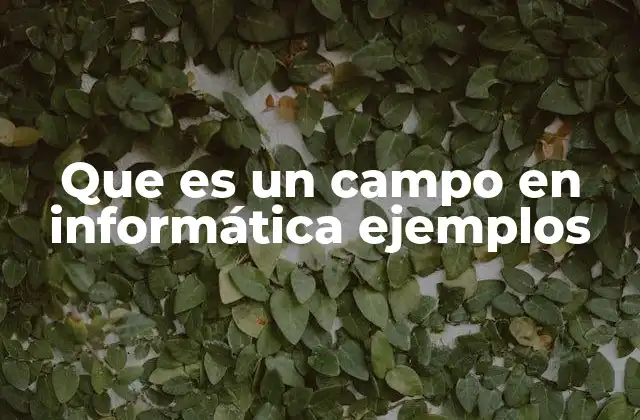 Que es un Campo en Informática Ejemplos