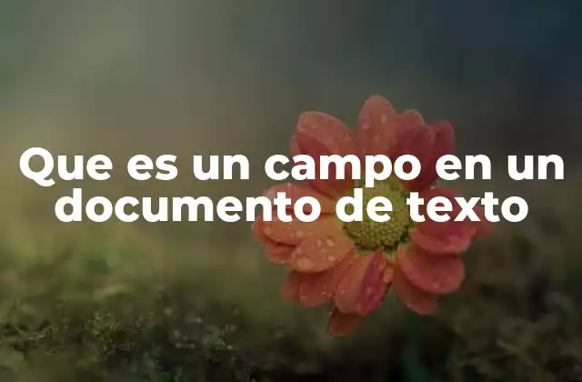 Que es un Campo en un Documento de Texto