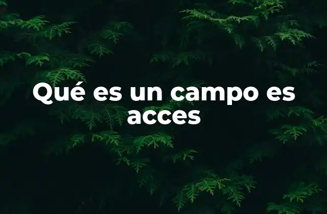 Qué es un Campo es Acces