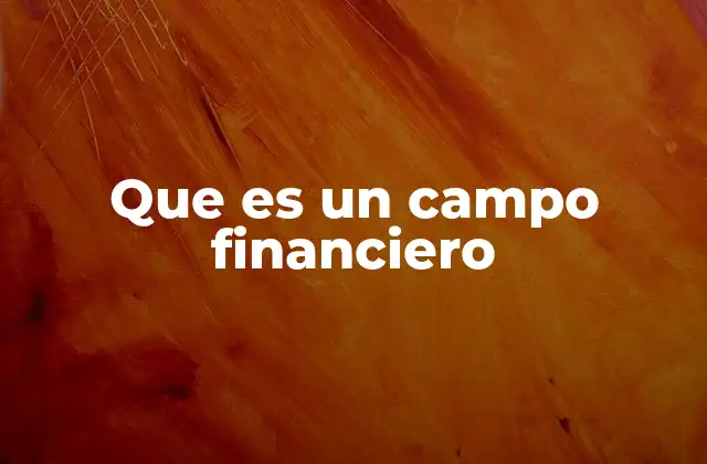 Que es un Campo Financiero