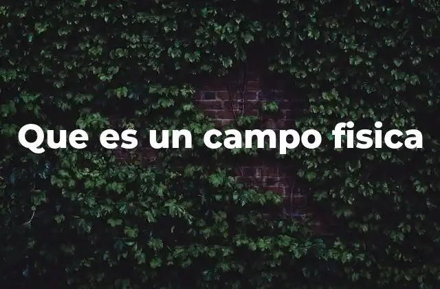 Que es un Campo Fisica