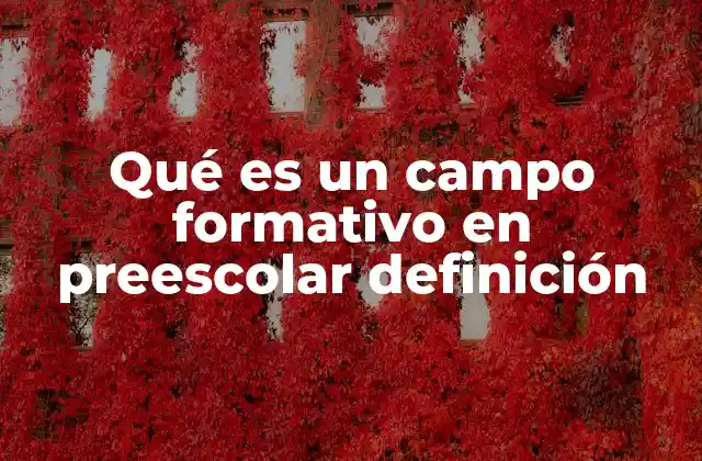 La importancia de los campos formativos en la educación temprana