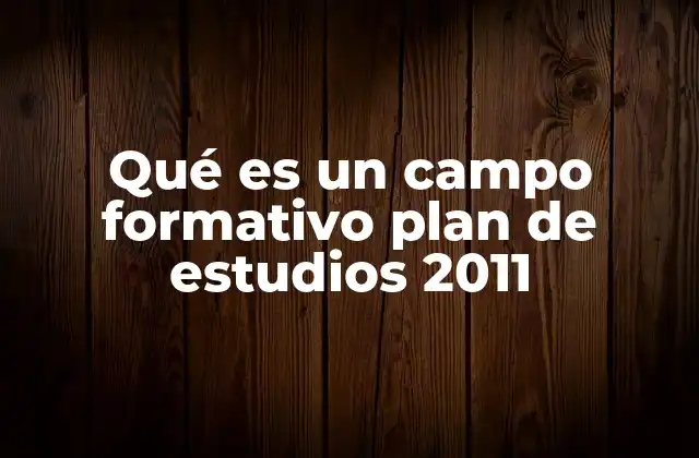 Qué es un Campo Formativo Plan de Estudios 2011