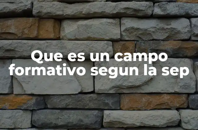 Que es un Campo Formativo Segun la Sep