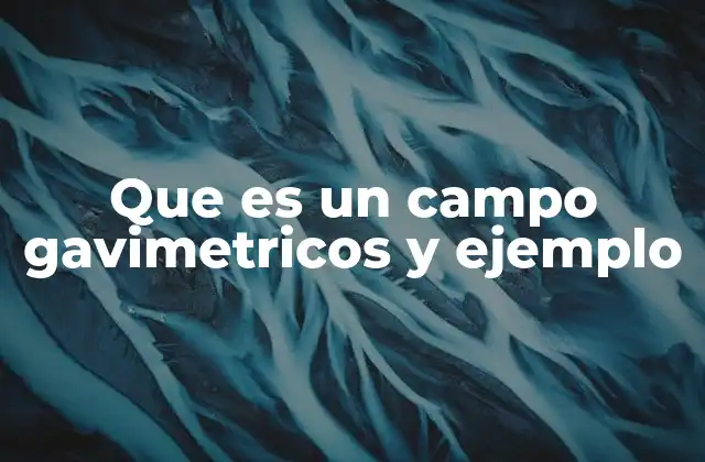 Que es un Campo Gavimetricos y Ejemplo