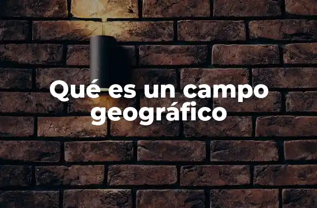 Qué es un Campo Geográfico