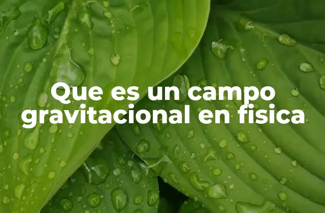 Que es un Campo Gravitacional en Fisica