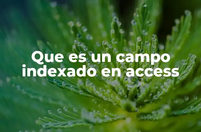 Que es un Campo Indexado en Access