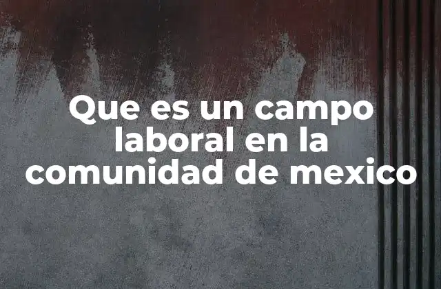 Que es un Campo Laboral en la Comunidad de Mexico