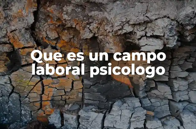 Que es un Campo Laboral Psicologo