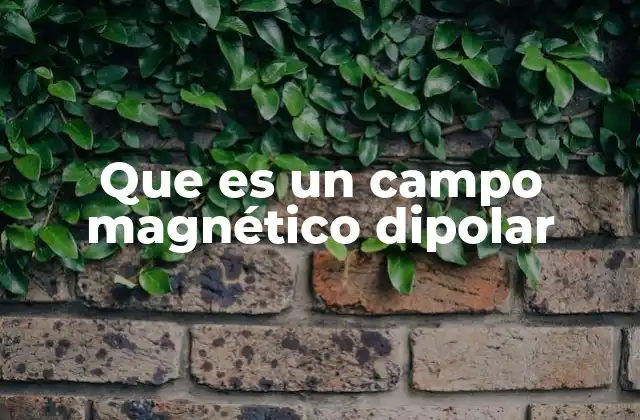 Que es un Campo Magnético Dipolar