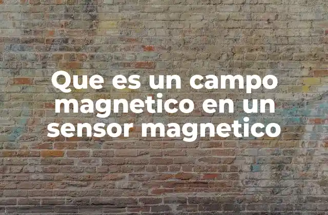 Que es un Campo Magnetico en un Sensor Magnetico