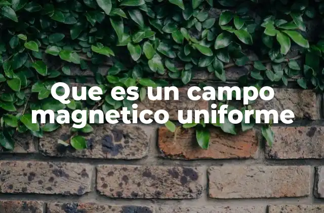 Que es un Campo Magnetico Uniforme