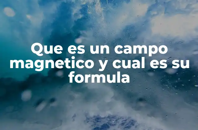 Que es un Campo Magnetico y Cual es Su Formula