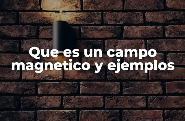 Que es un Campo Magnetico y Ejemplos