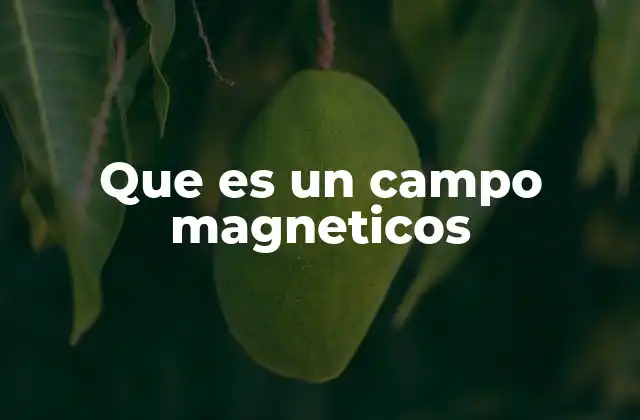 Que es un Campo Magneticos