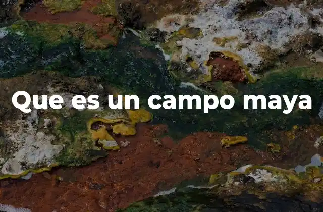 Que es un Campo Maya
