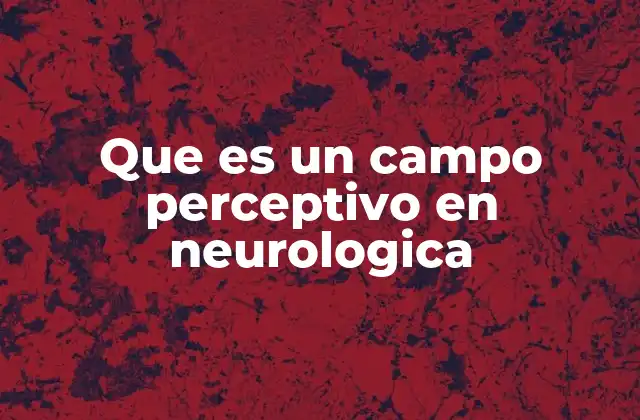 Que es un Campo Perceptivo en Neurologica