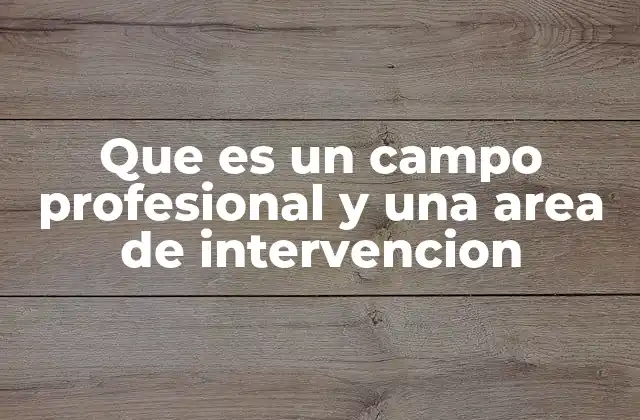 Que es un Campo Profesional y una Area de Intervencion