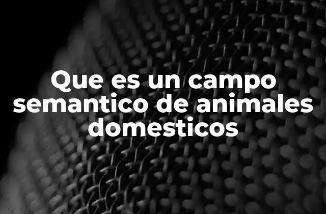Que es un Campo Semantico de Animales Domesticos