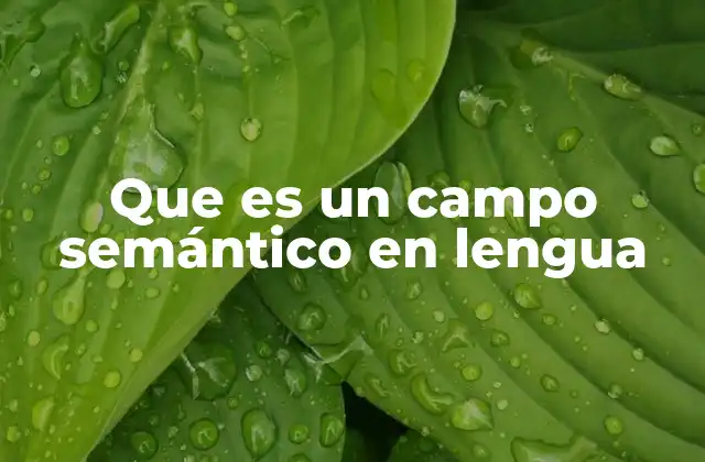 Que es un Campo Semántico en Lengua