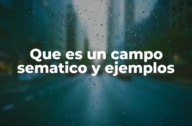 Que es un Campo Sematico y Ejemplos 2 La organización conceptual del lenguaje