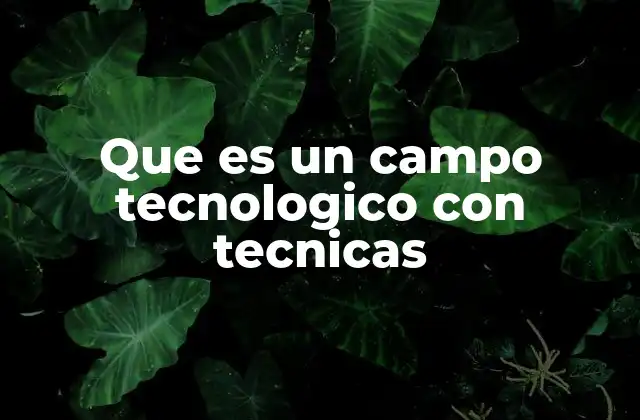 Que es un Campo Tecnologico con Tecnicas