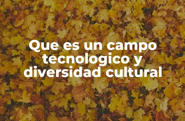 Que es un Campo Tecnologico y Diversidad Cultural