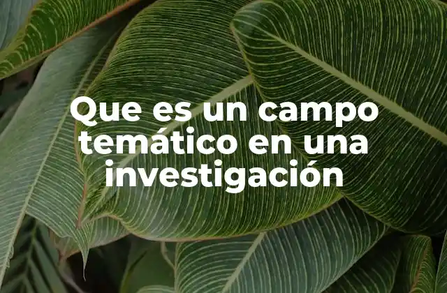 Que es un Campo Temático en una Investigación