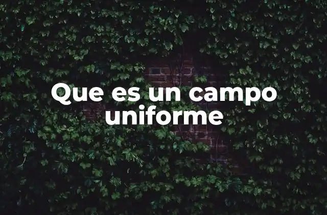 Que es un Campo Uniforme