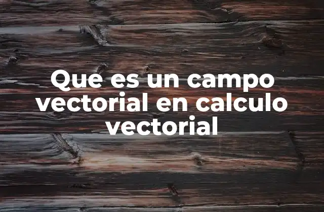 Que es un Campo Vectorial en Calculo Vectorial