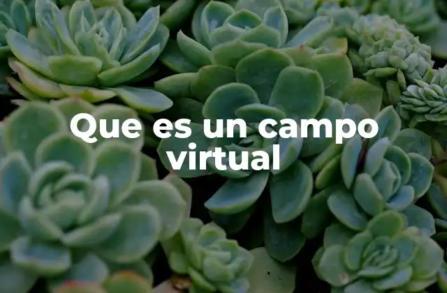 Campos virtuales en el desarrollo de videojuegos
