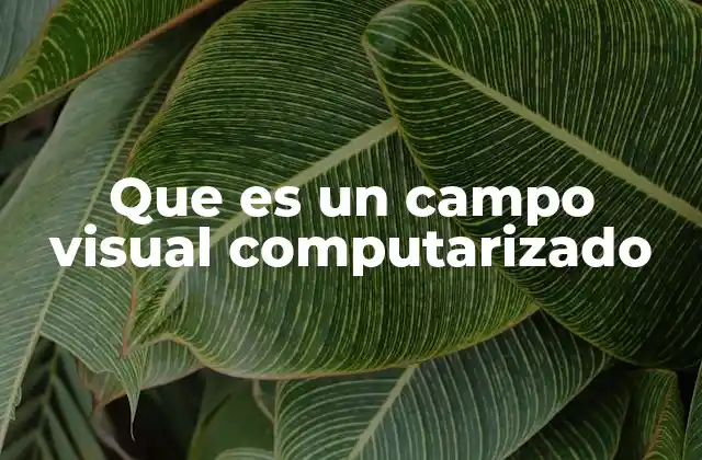 Que es un Campo Visual Computarizado