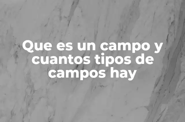 Que es un Campo y Cuantos Tipos de Campos Hay