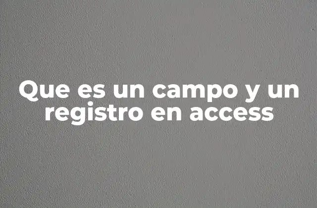 Que es un Campo y un Registro en Access