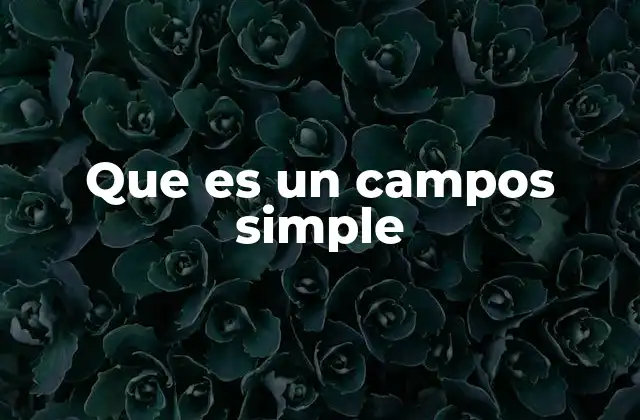 Que es un Campos Simple