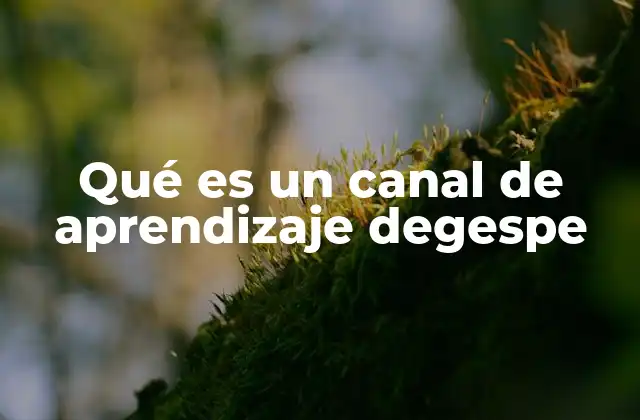 Qué es un Canal de Aprendizaje Degespe