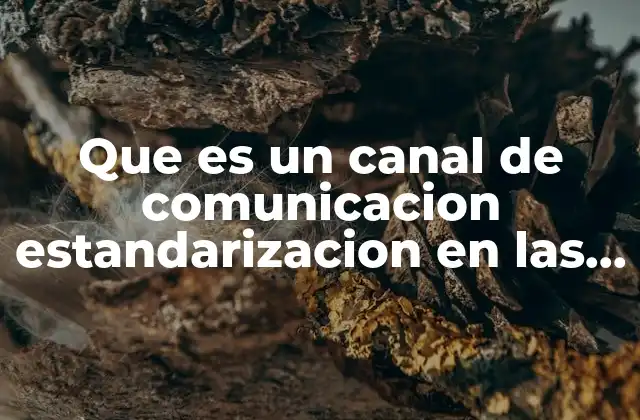La importancia de la estandarización en la comunicación empresarial