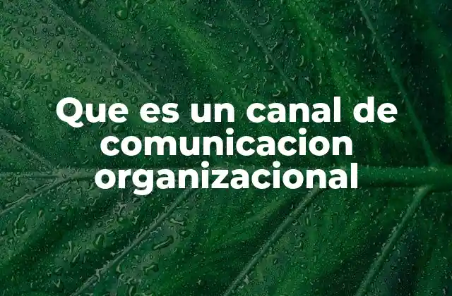 Que es un Canal de Comunicacion Organizacional 2 La importancia de los canales en la estructura organizacional