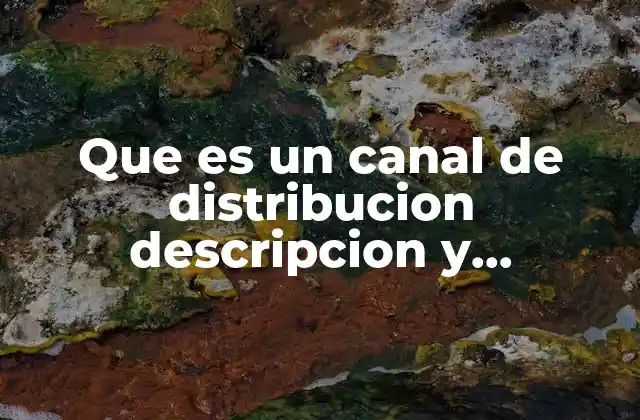 Que es un Canal de Distribucion Descripcion y Caracteristicas