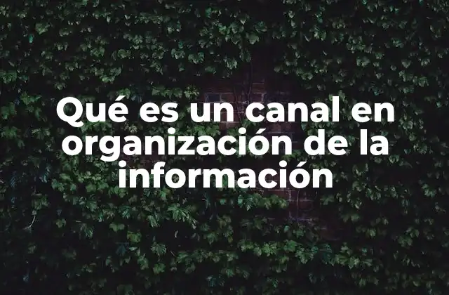 Qué es un Canal en Organización de la Información