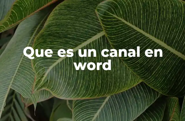 Que es un Canal en Word