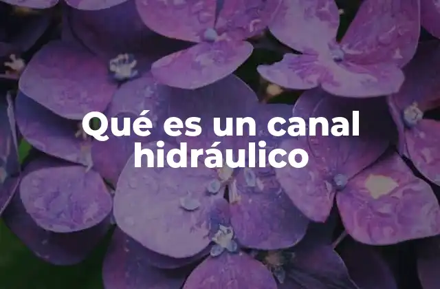 Qué es un Canal Hidráulico