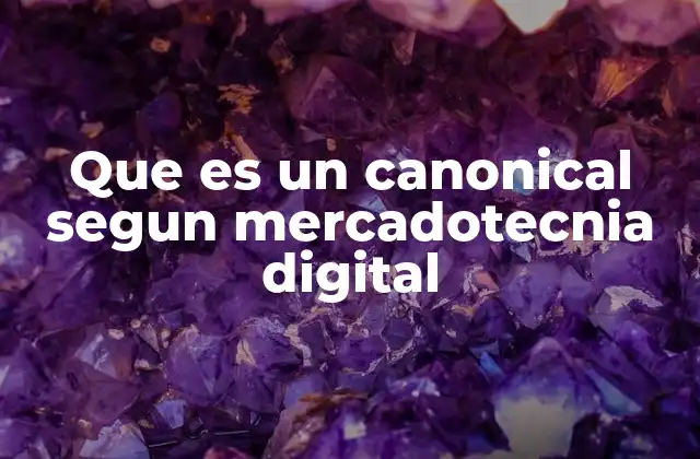 La importancia de la etiqueta canonical en la estrategia de posicionamiento web