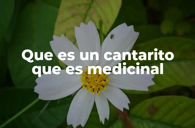 Que es un Cantarito que es Medicinal