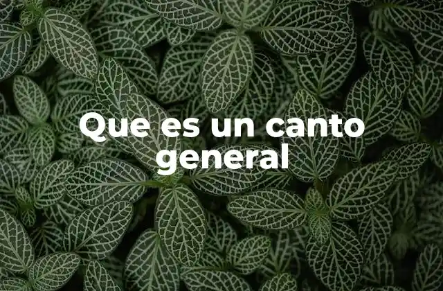 Que es un Canto General